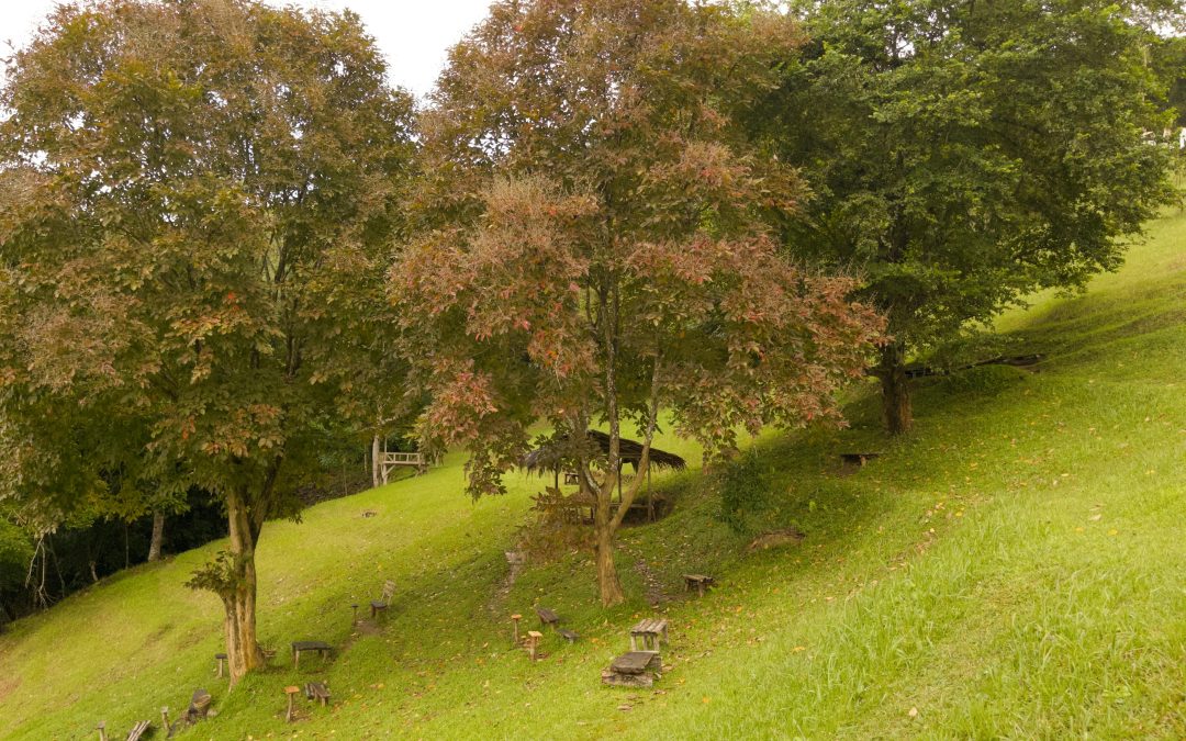 Pangangonan Hill, Wisata Unggulan Desa Karangjaya dengan Pesona Alam dan Kuliner Lokal